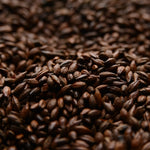 Roasted Barley - The Brewmeister
