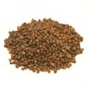 Grains of Paradise - 1 oz. - The Brewmeister