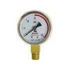 Replacement Gauge - Low PSI - The Brewmeister